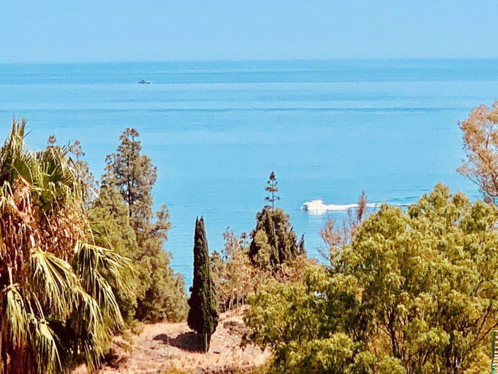 Superb Villa By The Sea 베날마데나코스타 외부 사진